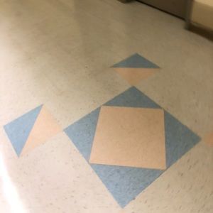 Meet your Posher, Ebony